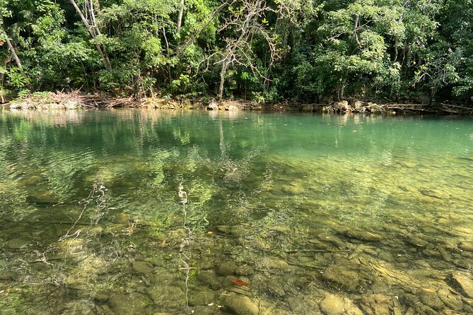 Private Dunns River Fall, Blue Hole in Ocho Rios From Montego Bay - Included Transportation and Amenities