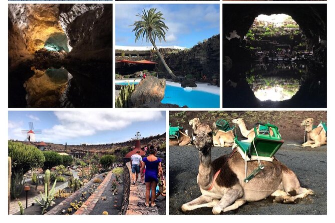 Private Excursion in Lanzarote, Minibus and Guide Available - Meeting and Pickup