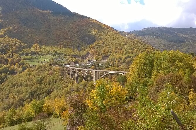 Private Full-Day Tour in Moraca and Tara Canyons, Durmitor & Biogradska Gora NP - Pickup and Meeting Point