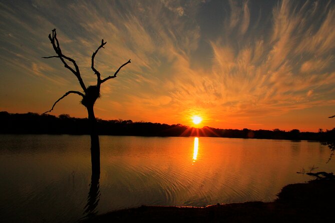 Private Game Drive Safari in Hoedspruit - Morning and Sunset Safari Options