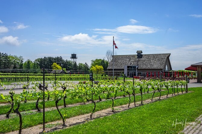 Private Half-Day Custom Wine Tasting Tour of Niagara-on-the-Lake - Inclusions