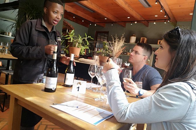 Private Half Daytour:Cape Winelands, Stellenbosch From Cape Town - Traveler Reviews and Guide Experience