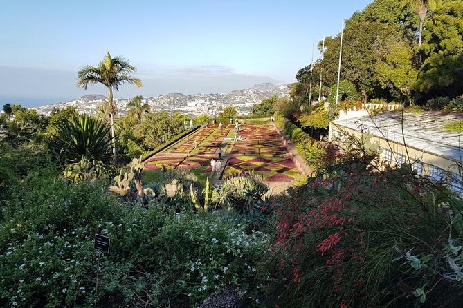 Private Halfday Madeira Garden Tour - Inclusions and Highlights