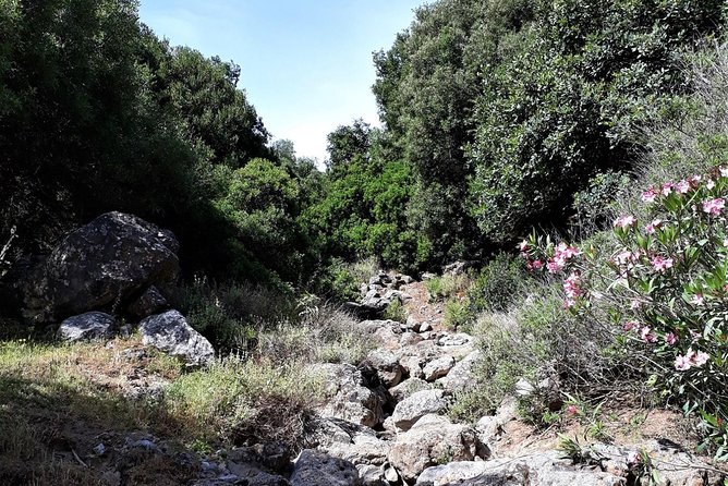 PRIVATE Hiking Walking GORGE Nearby Hersonissos CRETE - Inclusion Details