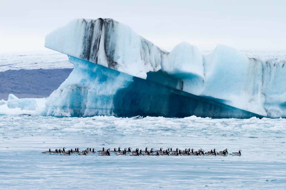 Private Jökulsárlón Glacier Lagoon Tour - Pricing and Booking