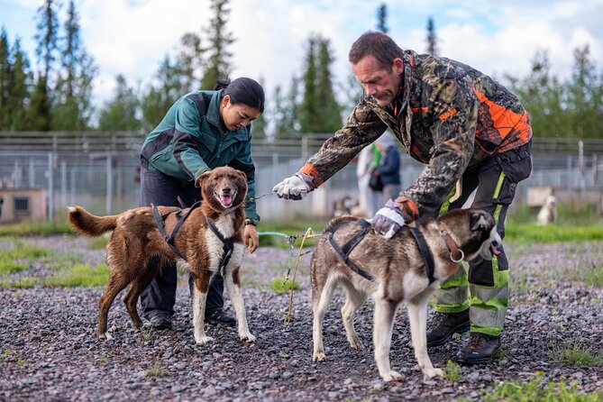 Private Kennel Visit and ATV Tour With the Huskies - Details of the Kennel Visit