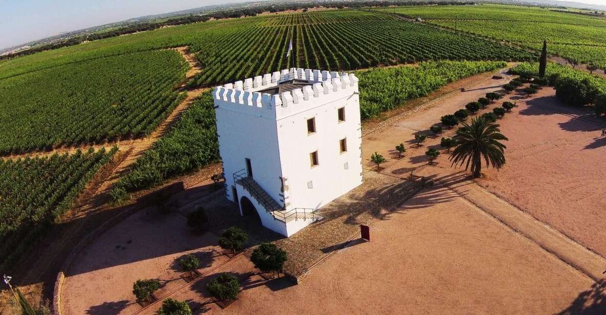 Private Luxury Wine & Food Tour in Alentejo - Itinerary Overview