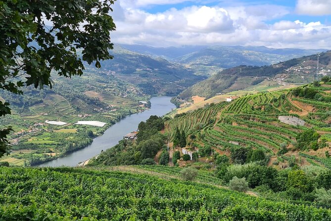 Private Tour Through the Douro Valley (Wineries + Boat) - Meeting and Pickup