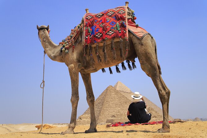 Pyramids of Giza, Sphinx and Egyptian Museum Day Tour - Pyramids of Giza