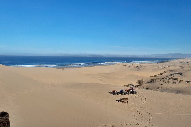 Quad Bike and Sandboarding on Sand Dunes Wild Beach - Experience Details