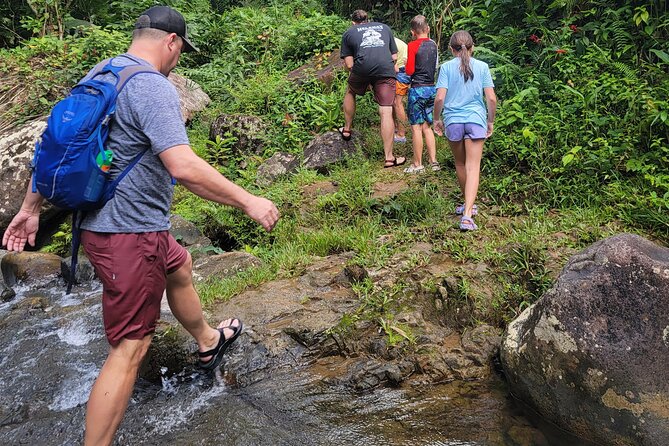 Rain Forest Waterfall Discovery With Natural Mud Bath - Meeting and Pickup