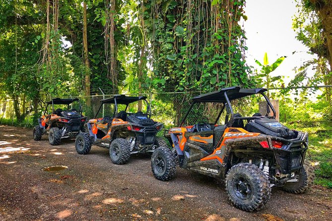 Rastafari Cultural ATV Community Experience From Montego Bay - Natural Mineral Pool Swim