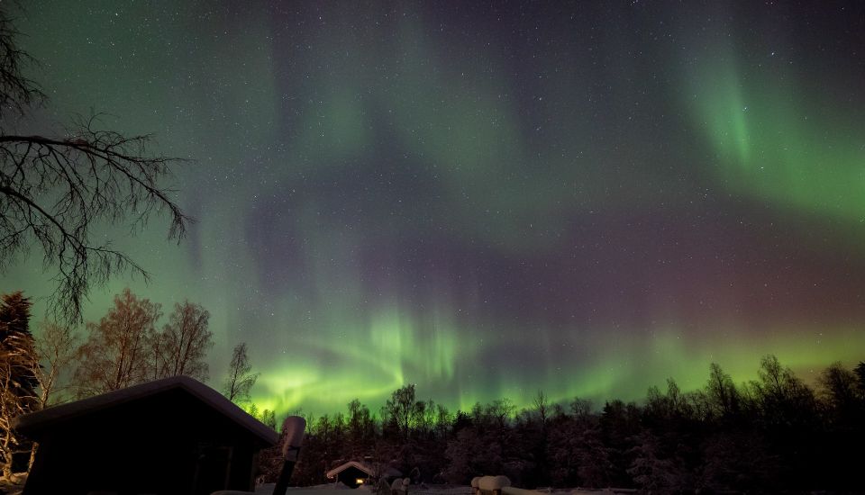 Rovaniemi: Apukka Reindeer Sleigh Ride at Night - Transportation and Transfers