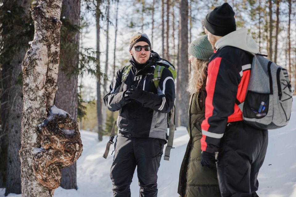 Rovaniemi: Frozen Waterfalls of Korouoma Canyon Hike - Highlights of the Trip