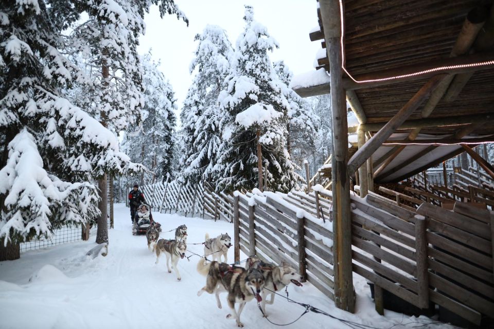 Rovaniemi: Husky and Reindeer Farm Visit With Sleigh Rides - Highlights of the Experience