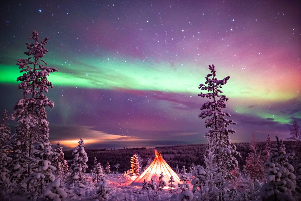 Rovaniemi: Northern Lights Snowmobile Sledge Ride - Highlights of the Tour