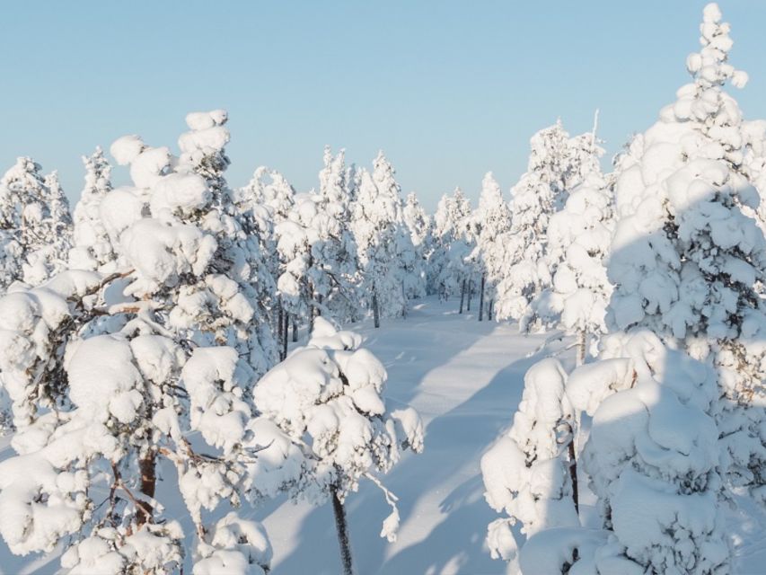 Rovaniemi: Winter Wonderland Vikaköngas Hike & Barbecue - Highlights of the Hike