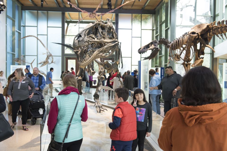 San Antonio: Witte Museum Admission Ticket - Museum Highlights and Exhibits