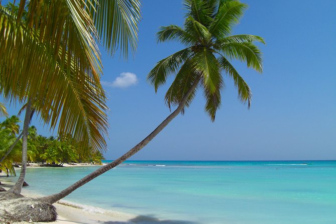 Saona Island From Santo Domingo - Recommendations and Restrictions