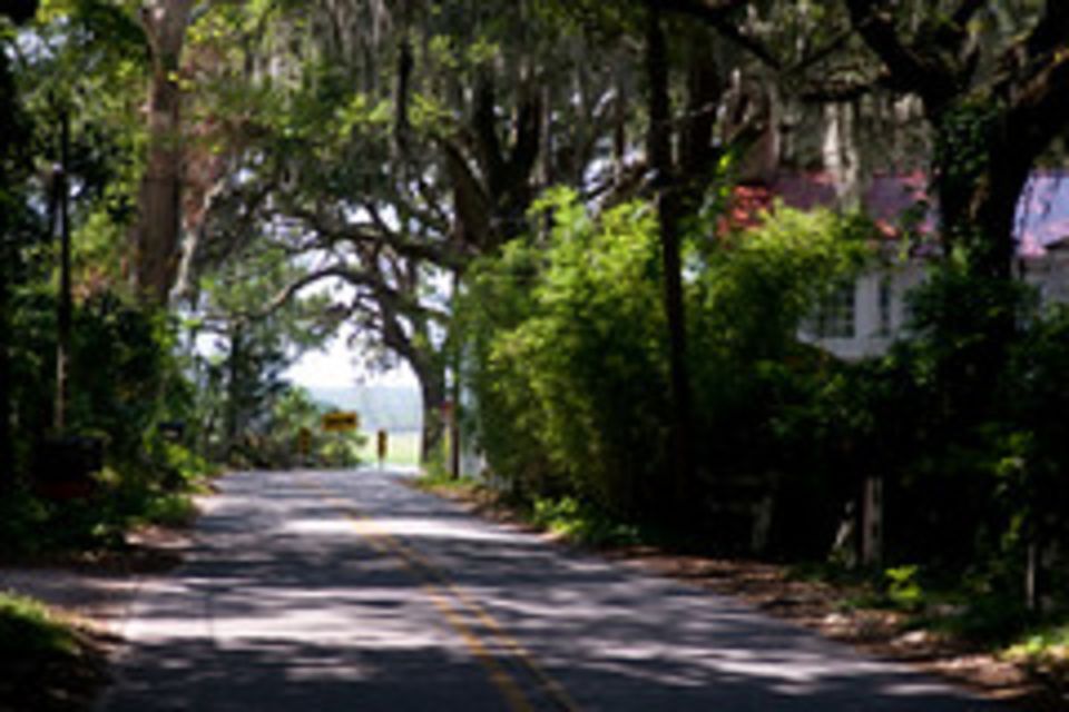 Savannah: Wormsloe Plantation and Bonaventure Cemetery Tour - Tour Inclusions