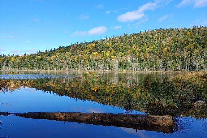 Scenic Hiking Adventure at Mont-Orford National Park - Included in the Experience