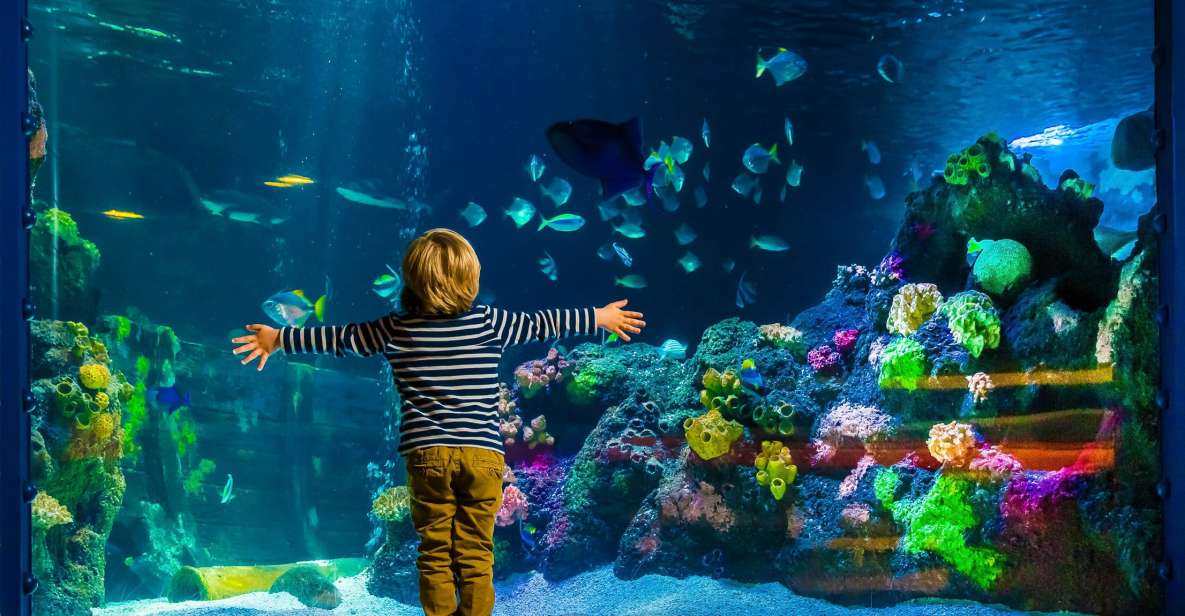 SEA LIFE Berlin Tickets - Ticket Pricing and Options