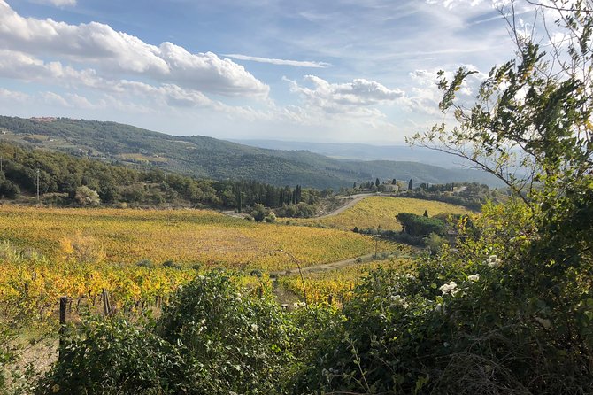 Semiprivate Tour: Siena, Wine Tour, San Gimignano - Itinerary Highlights