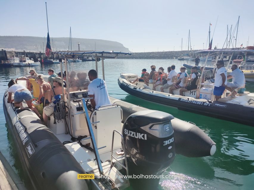 Sesimbra: Dolphin Watching Boat Tour With Biologist Guide - Guided by a Biologist