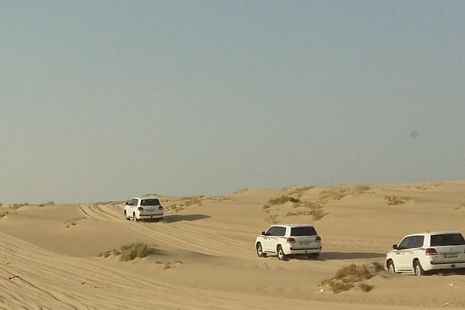 Sharing or Private Safari, Sand Boarding, Camel Ride, Inland Sea Quick Swim - Included Services