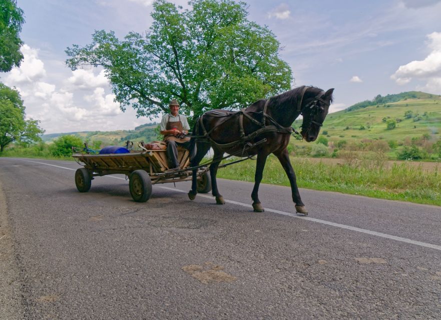 Sibiu: Guided Highlights E-bike Tour - Tour Highlights