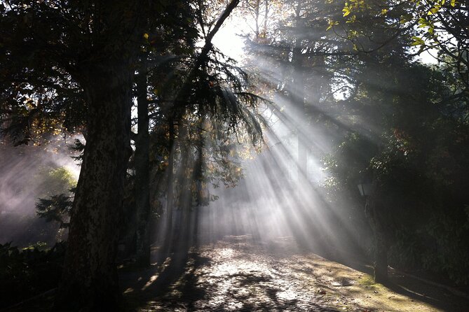 Sintra & Cabo Da Roca Private Tour - Tour Availability and Pricing