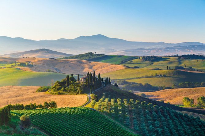 Small Group Brunello Di Montalcino Wine Tour From Siena - Highlights of the Tour