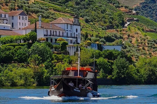 Small Group Douro Wine Valley Tour With Lunch and Wine Tasting - Tour Reviews