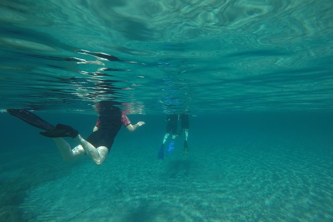 Snorkeling and Swimming Tour to the Poseidons Temple at Sounio Cape - Inclusions