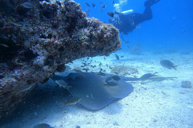 Snorkelling Tours to Daymaniyat Island - Inclusions and Amenities