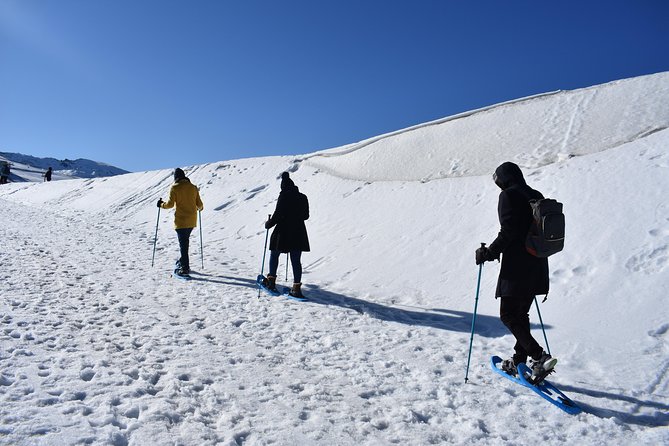 Snowshoe Hiking in the Sierra Nevada (Granada) - Meeting and End Point