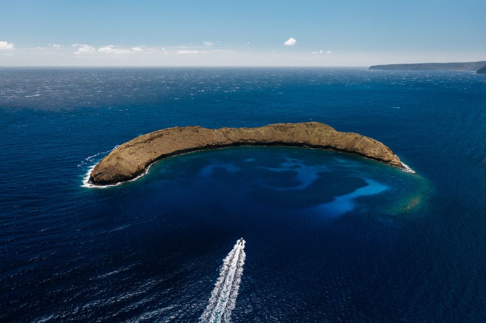 South Maui: Molokini Volcanic Crater Snorkeling Cruise - Highlights of the Snorkeling Cruise