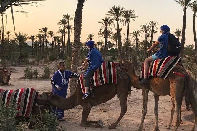 Sunset Camel Ride In Marrakech Palm Grove - Health and Safety Considerations