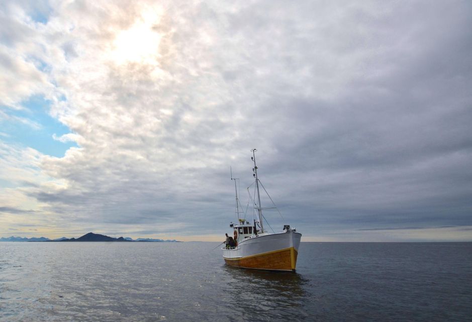 Svolvär: Fishing Trip on the Lofoten Sea - Fishing Opportunities and Wildlife