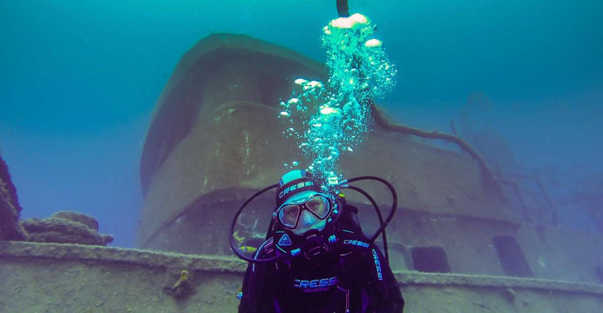 Tenerife: 2 Diving Sessions for Certified Divers - Experience Highlights