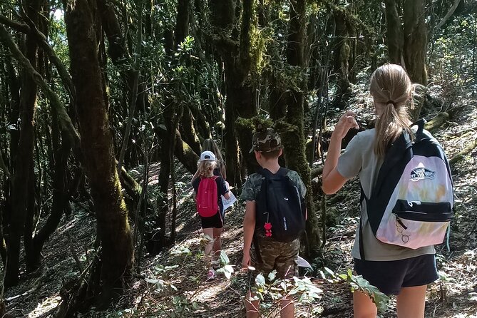 Tenerife: Hiking Through Enchanted Laurel Forest Above Masca - Inclusions