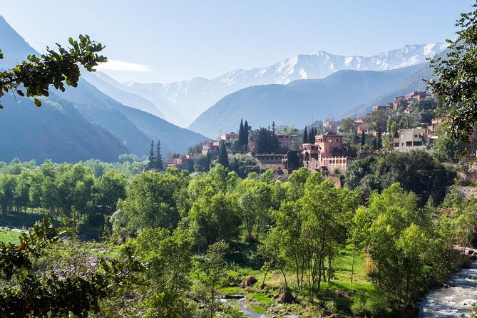 The Atlas Mountains and the 3 Valleys With a Delicious Lunch in a Berber House - Authentic Berber Culture and Cuisine