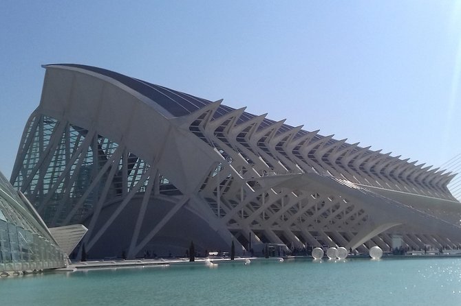 The City of Arts and Sciences in Valencia - Tour Logistics and Details