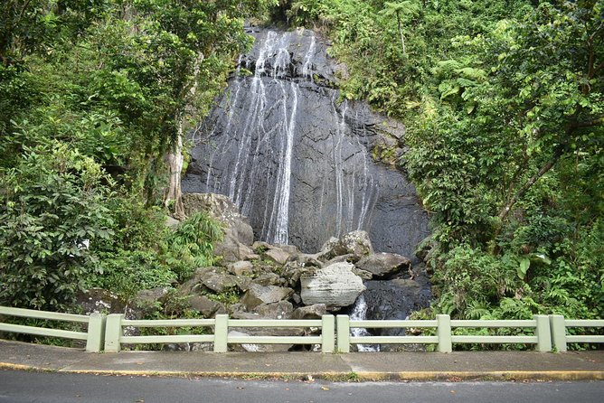 The El Yunque Rainforest Guided Day Tour From San Juan - Exploring Scenic Spots