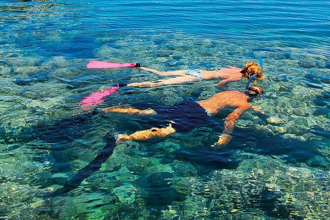 Tiran Island Full Day Snorkeling Sea Trip & Intro Dive 15 Min - Sharm El Sheikh - Customer Feedback