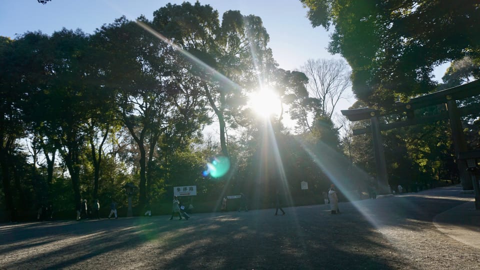 Tokyo Harajuku Meiji Shrine 1h Walking Explanation Tour - Activity Details