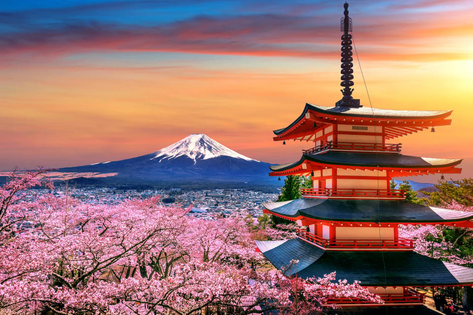 Tokyo: Mt. Fuji & Hakone Tour With English Speaking Driver. - Experience and Activities