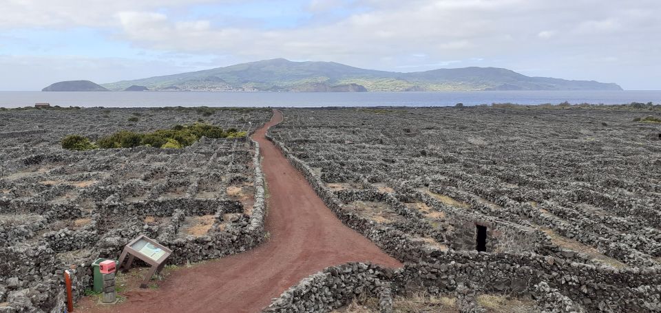 Tours on Pico Island - Cultural and Natural Landscape - Emblematic Whaling Culture