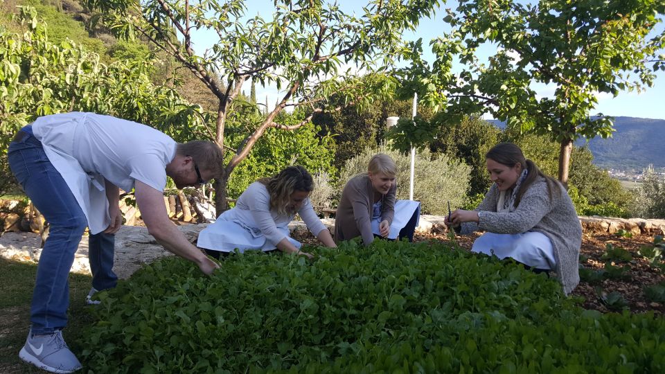 Traditional Dalmatian Cooking Class From Dubrovnik - Highlights of the Experience