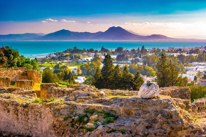 Tunis: Carthage, Bardo Museum, Sidi Bou Said and Medina Day Tour - Key Attractions